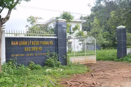 Sai phạm tại BQL Rừng phòng hộ Bắc Biển Hồ:9 đối tượng bị truy tố