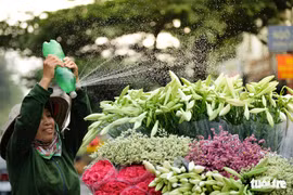 Hoa loa kèn gọi tháng 4 khắp phố phường Hà Nội