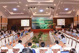 Gia Lai: Hội thảo công nghệ tưới nhỏ giọt cho cây trồng của Israel