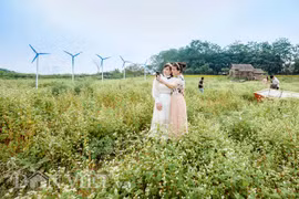 Đẹp ngất ngây thảo nguyên hoa tam giác mạch trái mùa giữa Hà Nội