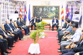 Đoàn cán bộ tỉnh Gia Lai thăm, chúc Tết tại Lào và Campuchia