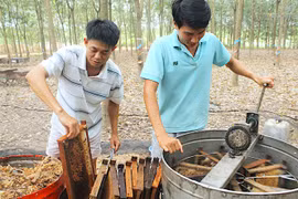 Gian nan lấy mật ngọt cho đời