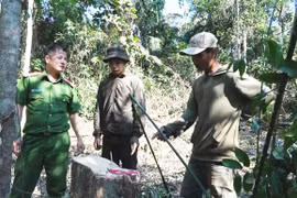 Công an liên tiếp‎ phát hiện phá rừng tại Công ty lâm nghiệp Ea Kar