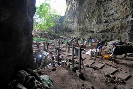 Tìm thấy bằng chứng về tông người tiền sử chưa từng được biết đến
