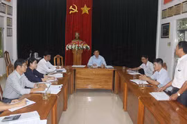 Làm rõ các vấn đề liên quan đến Công ty Cà phê Gia Lai