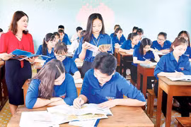 Gia Lai: Chủ động tiếp cận chương trình giáo dục phổ thông mới