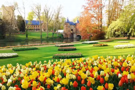 Lễ hội hoa kéo dài một tháng ở Bỉ