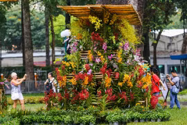 Lễ hội trưng bày 14.000 cây hoa lan ở Sài Gòn
