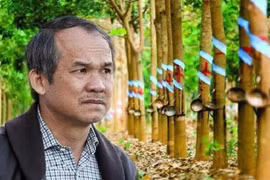 Sự thật việc HAGL bị thu hồi đất cao su tại Campuchia