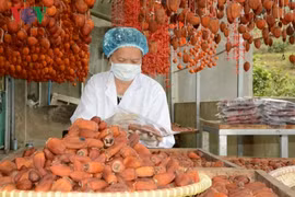 Truy xuất nguồn gốc đặc sản Đà Lạt bằng phần mềm quét mã vạch