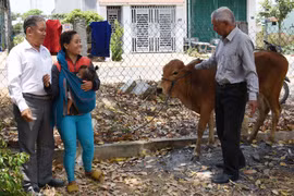 Hỗ trợ sinh kế cho người khuyết tật