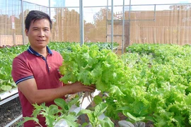 Kết nối sản xuất-tiêu thụ nông sản sạch