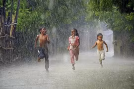 Tạp bút: Mưa cao nguyên