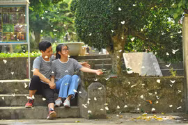 Đắm mình với hình ảnh đàn bướm rợp trời ở rừng Cúc Phương