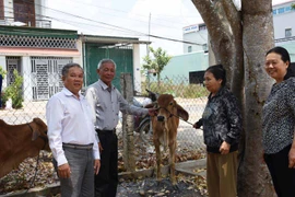 Tặng bò giống cho người nghèo khuyết tật 2 huyện Đak Pơ và Phú Thiện