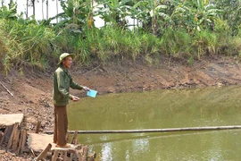 Cựu chiến binh Đặng Thái Học: Giỏi làm kinh tế, nhiệt huyết với phong trào