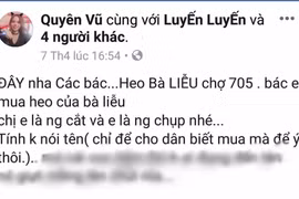 Ia Krái: Làm rõ thông tin mua phải heo bệnh