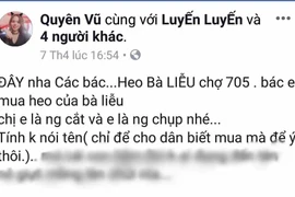 Ia Krái: Làm rõ thông tin mua phải heo bệnh