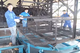 Xí nghiệp Chế biến mủ Kdang: Nâng cao hiệu quả sản xuất