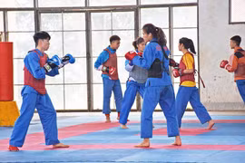 Gia Lai đăng cai tổ chức Giải Vô địch Vovinam toàn quốc lần thứ X