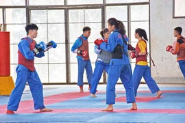 Gia Lai đăng cai tổ chức Giải Vô địch Vovinam toàn quốc lần thứ X