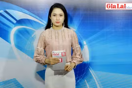 Gia Lai 48h: Thanh tra toàn diện 2 ban quản lý rừng phòng hộ