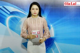 Gia Lai 48h: Thanh tra toàn diện 2 ban quản lý rừng phòng hộ