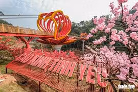 Cầu kính 5D cao 22 m đầu tiên tại Việt Nam