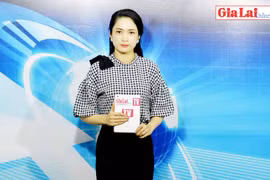 Gia Lai 48h: Nói không với thực phẩm giả, kém chất lượng