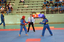 Giải Vovinam toàn quốc: Đẹp và bất ngờ