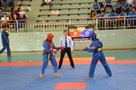 Giải Vovinam toàn quốc: Đẹp và bất ngờ