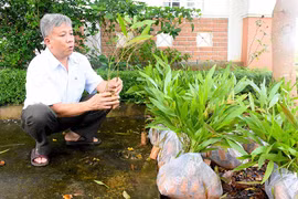 Chư Pưh: Phấn đấu trồng gần 400 ha rừng