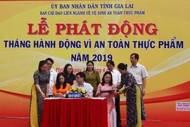 Gia Lai: Nói không với thực phẩm giả, kém chất lượng