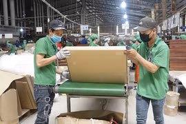 Lâm sản-vừa mừng xuất khẩu, vừa lo cháy rừng