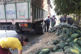 Nông sản xuất sang Trung Quốc phải truy xuất được nguồn gốc