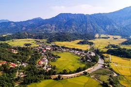 Sắc hoa vùng đất lũ