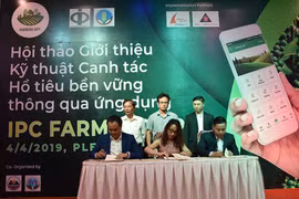 Gia Lai:250 nông dân được tập huấn kỹ thuật sản xuất hồ tiêu bền vững