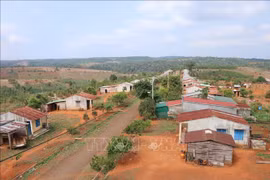 Hàng chục hộ dân M'Nông trong 'cơn khát' do khô hạn kéo dài