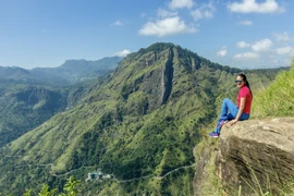 Băng qua những đồi chè xanh mướt ở Sri Lanka