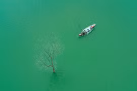 Cảnh đẹp 'cây cô đơn' dọc chiều dài Việt Nam