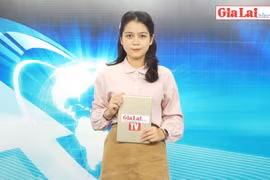 Gia Lai 48h: Khôi phục hoạt động hầu hết các tuyến vận tải