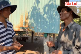 Bí thư Chi bộ mẫn cán của làng Broch