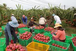 Bộ NNPTNT đề nghị Trung Quốc tạo thuận lợi cho xuất khẩu nông sản