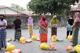 Tiềm ẩn nỗi lo an ninh lương thực giữa đại dịch