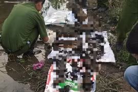 Phát hiện 4 bộ xương người ở gần bờ sông Sài Gòn