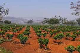 Hiệu quả mô hình đưa điện ra nương rẫy