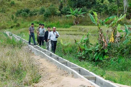 Công ty Việt Phú An: Đặt chất lượng công trình lên hàng đầu