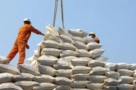 Phó Thủ tướng yêu cầu làm rõ vụ mở tờ khai XK gạo nửa đêm của Hải quan