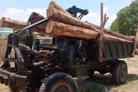 Ia Pa: Một tuần phát hiện 2 vụ vi phạm lâm luật