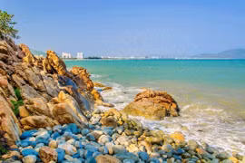 Lá thư từ biển